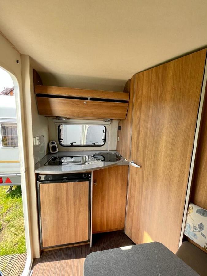 Campsite Campy